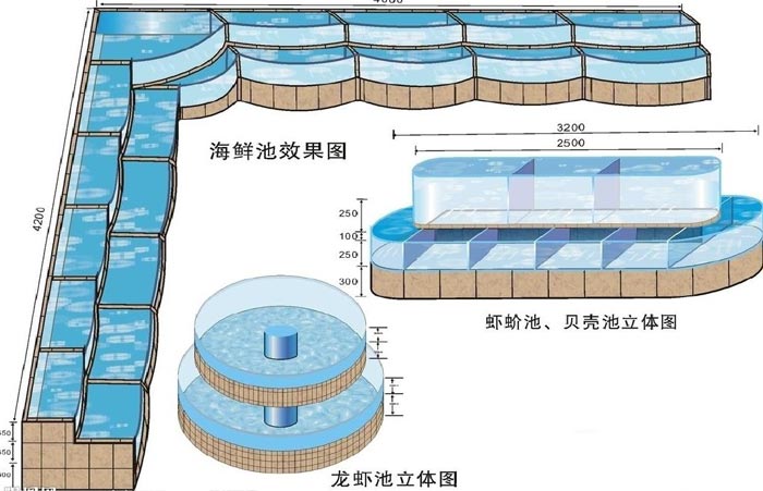 海鲜池效果图